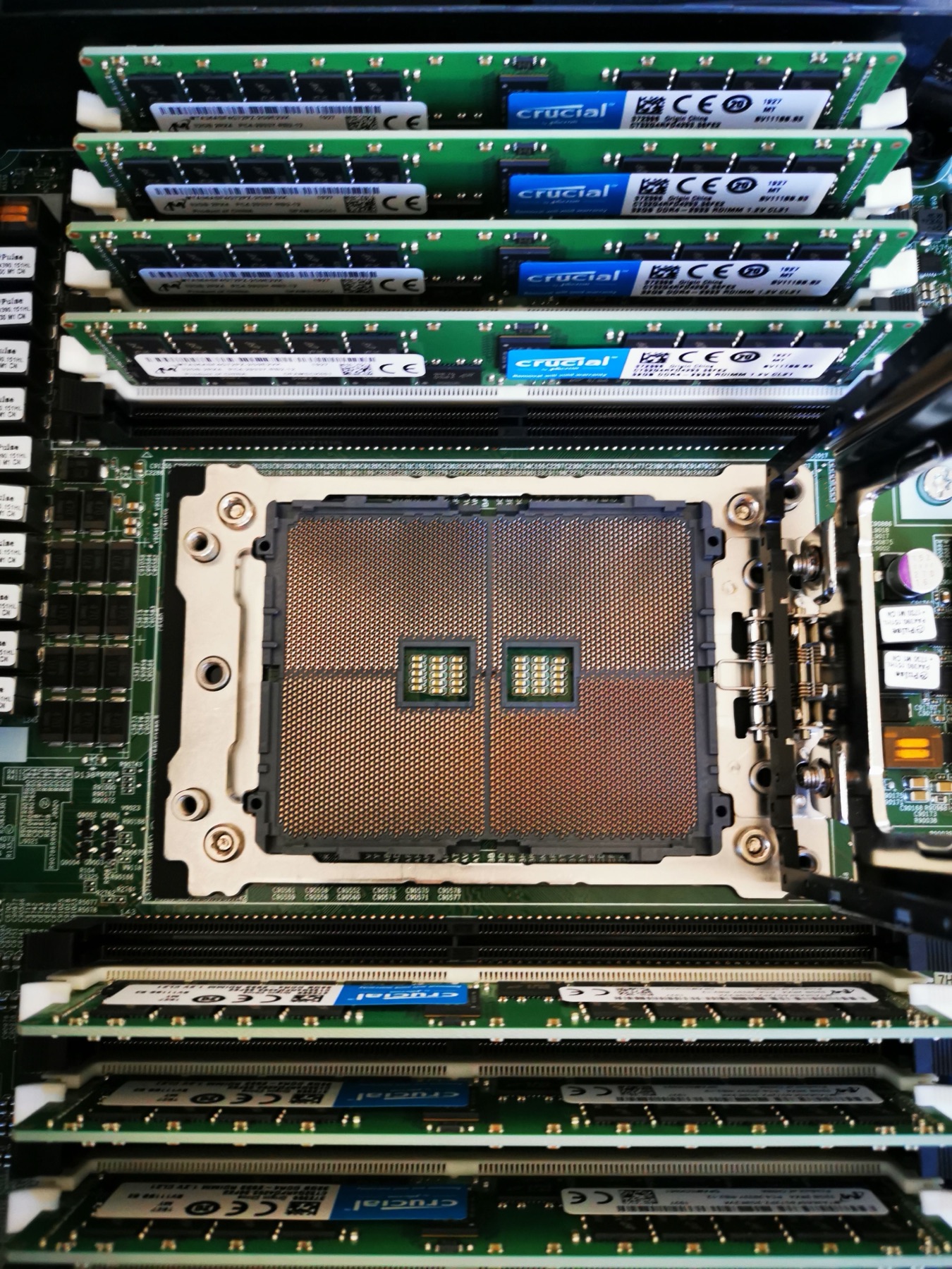 A server board mid-build — RDIMMs seated beside an open CPU socket.